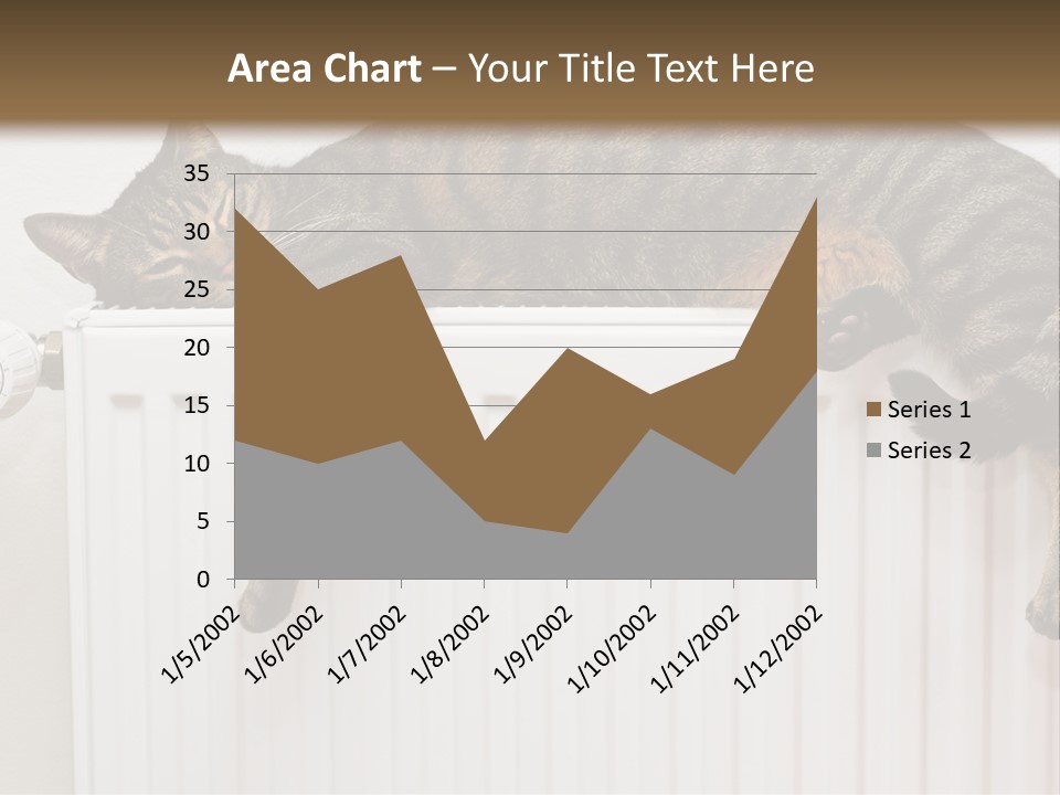 Relaxation Multi Colored Sleeping Cat PowerPoint Template