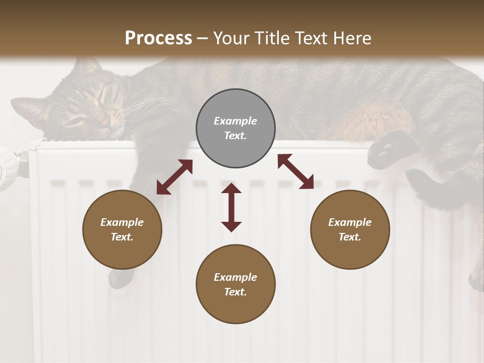 Relaxation Multi Colored Sleeping Cat PowerPoint Template