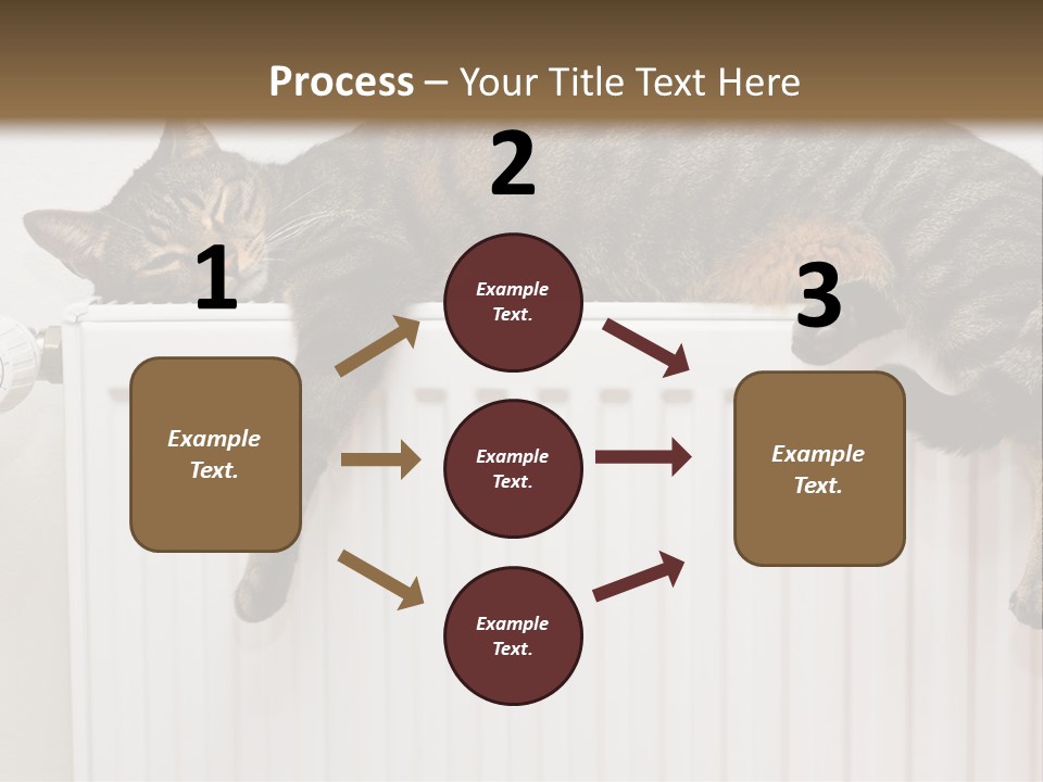 Relaxation Multi Colored Sleeping Cat PowerPoint Template