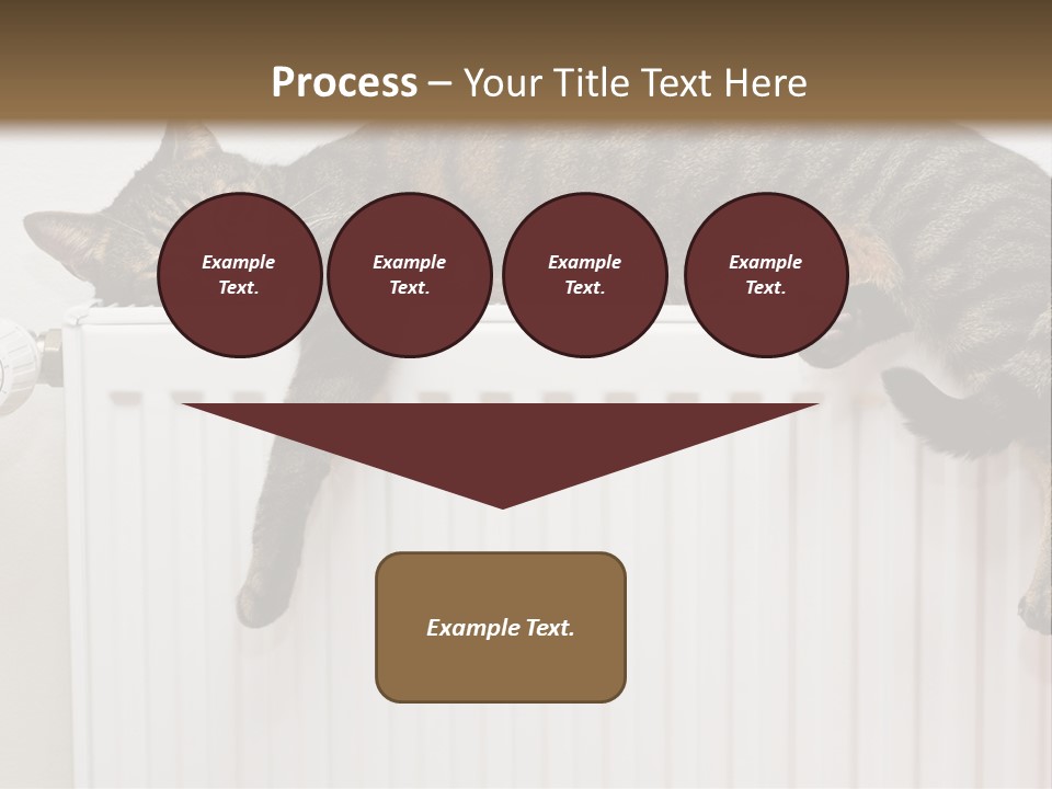 Relaxation Multi Colored Sleeping Cat PowerPoint Template