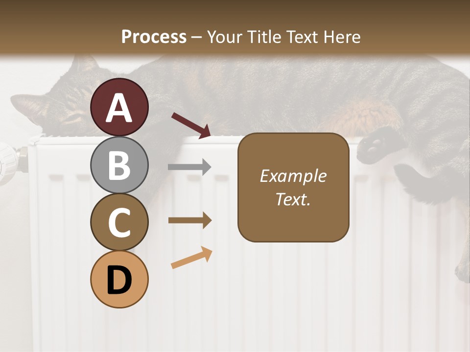 Relaxation Multi Colored Sleeping Cat PowerPoint Template