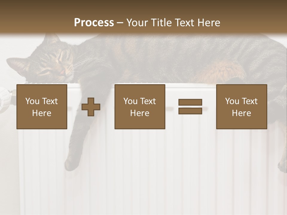 Relaxation Multi Colored Sleeping Cat PowerPoint Template