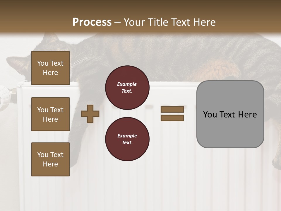 Relaxation Multi Colored Sleeping Cat PowerPoint Template