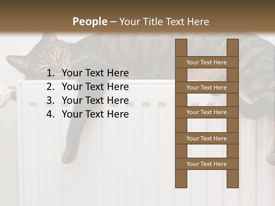 Relaxation Multi Colored Sleeping Cat PowerPoint Template