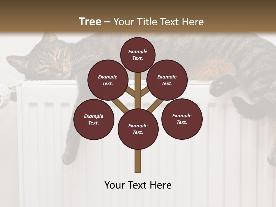 Relaxation Multi Colored Sleeping Cat PowerPoint Template