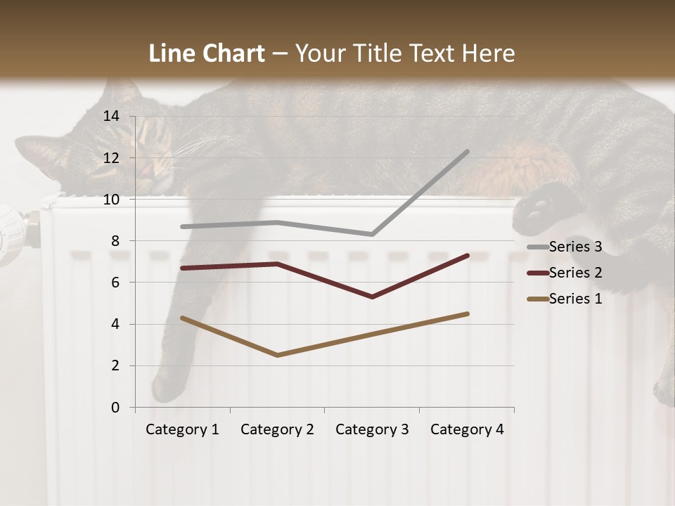 Relaxation Multi Colored Sleeping Cat PowerPoint Template