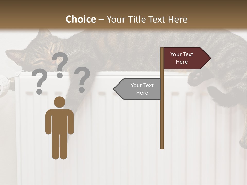 Relaxation Multi Colored Sleeping Cat PowerPoint Template