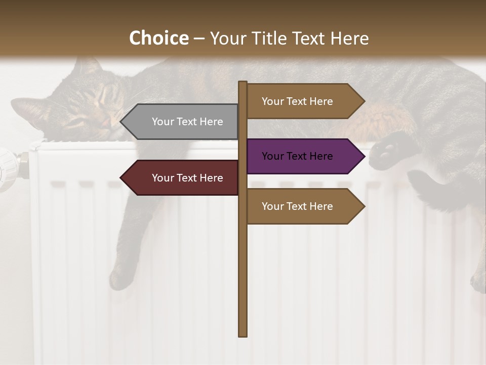 Relaxation Multi Colored Sleeping Cat PowerPoint Template