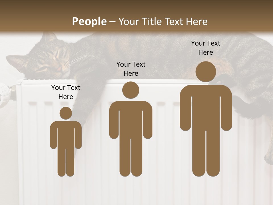 Relaxation Multi Colored Sleeping Cat PowerPoint Template