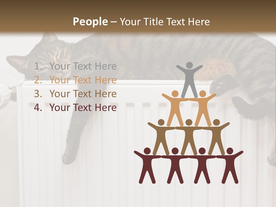 Relaxation Multi Colored Sleeping Cat PowerPoint Template