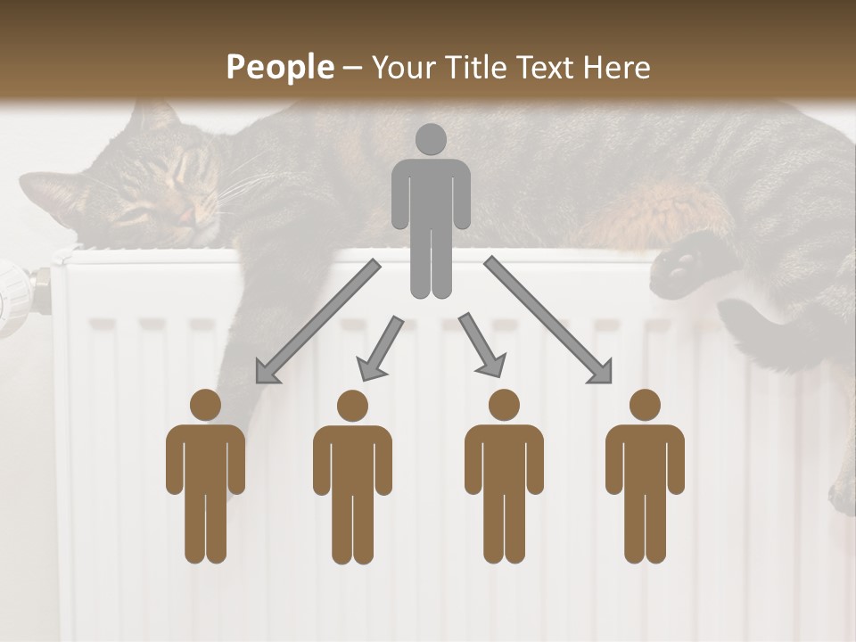 Relaxation Multi Colored Sleeping Cat PowerPoint Template