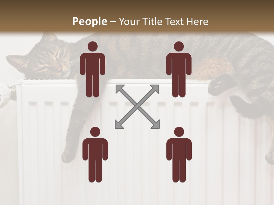 Relaxation Multi Colored Sleeping Cat PowerPoint Template