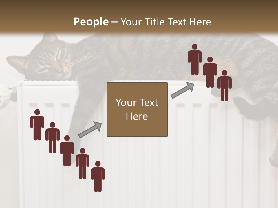 Relaxation Multi Colored Sleeping Cat PowerPoint Template