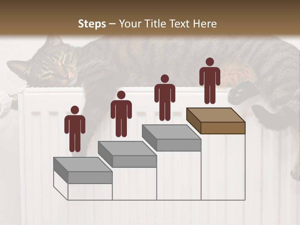 Relaxation Multi Colored Sleeping Cat PowerPoint Template