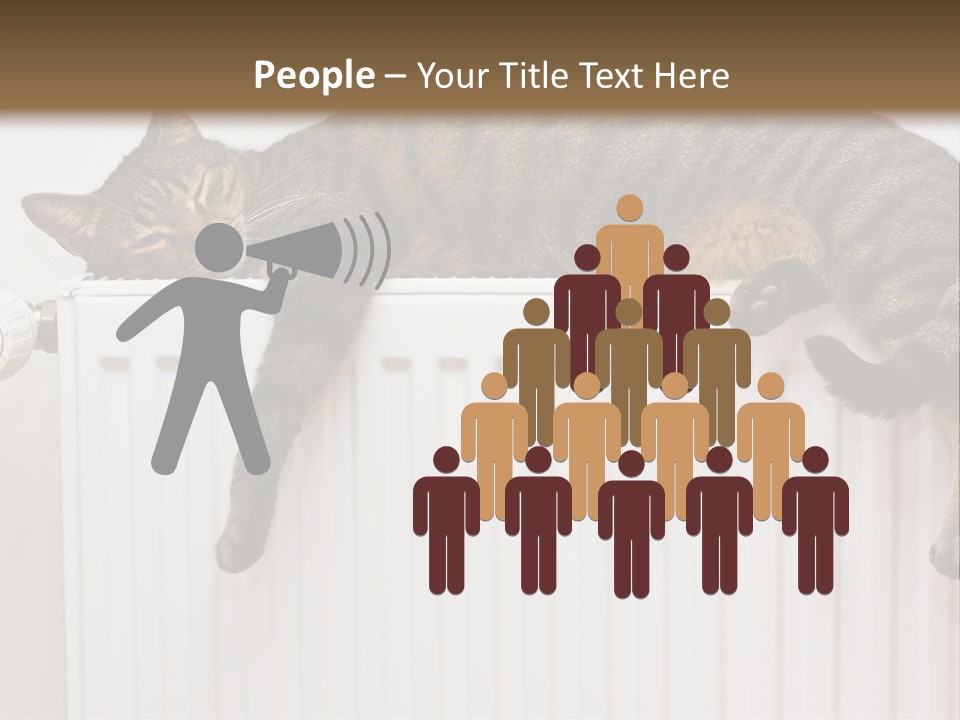 Relaxation Multi Colored Sleeping Cat PowerPoint Template