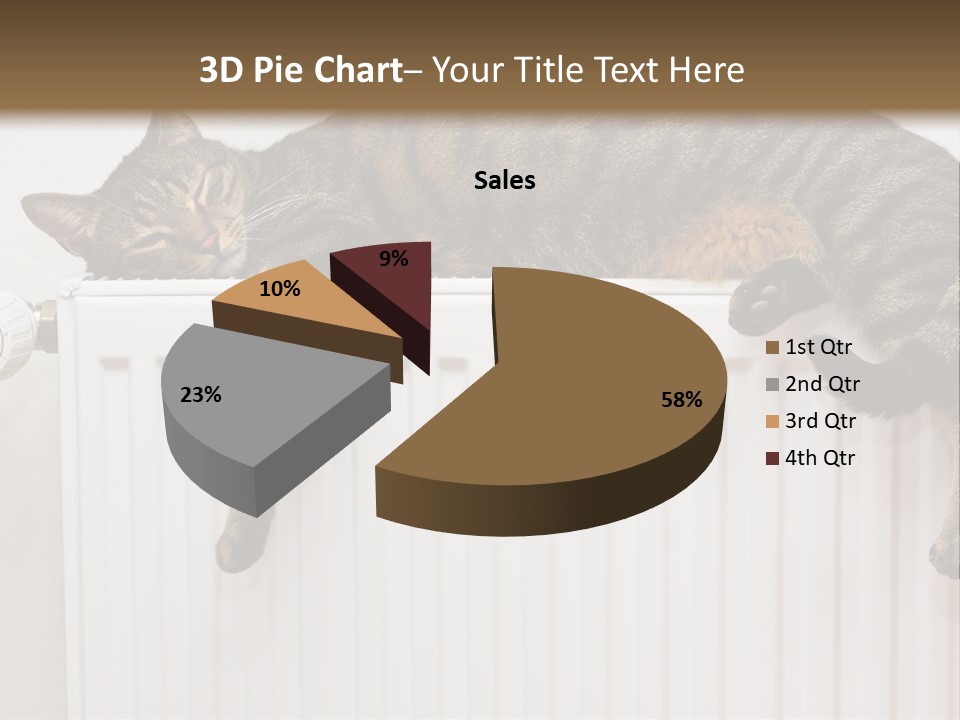 Relaxation Multi Colored Sleeping Cat PowerPoint Template