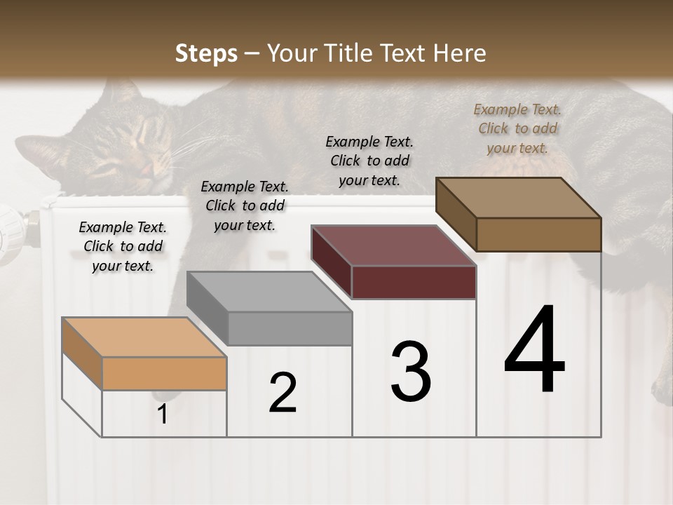 Relaxation Multi Colored Sleeping Cat PowerPoint Template