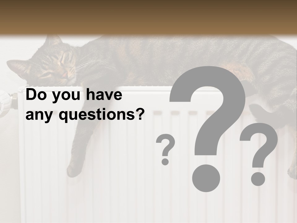 Relaxation Multi Colored Sleeping Cat PowerPoint Template