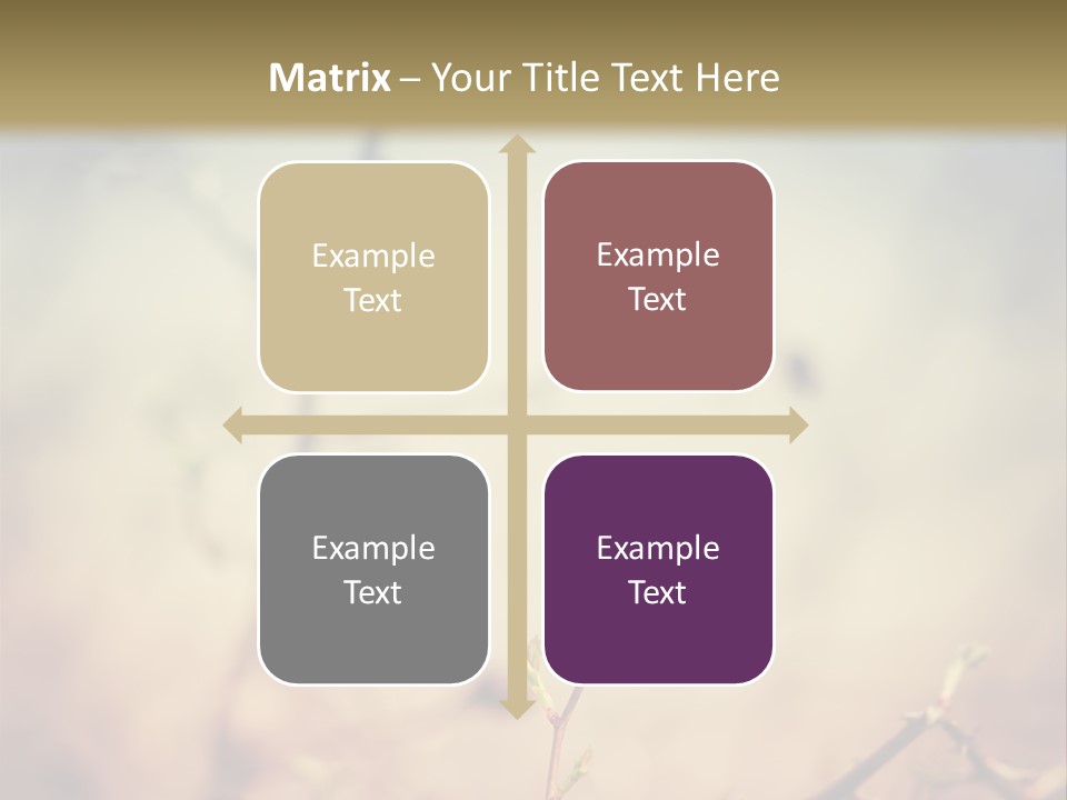 Background Ripe Rosehip PowerPoint Template