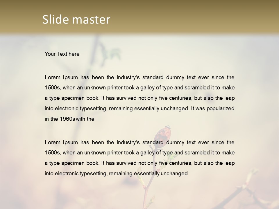 Background Ripe Rosehip PowerPoint Template