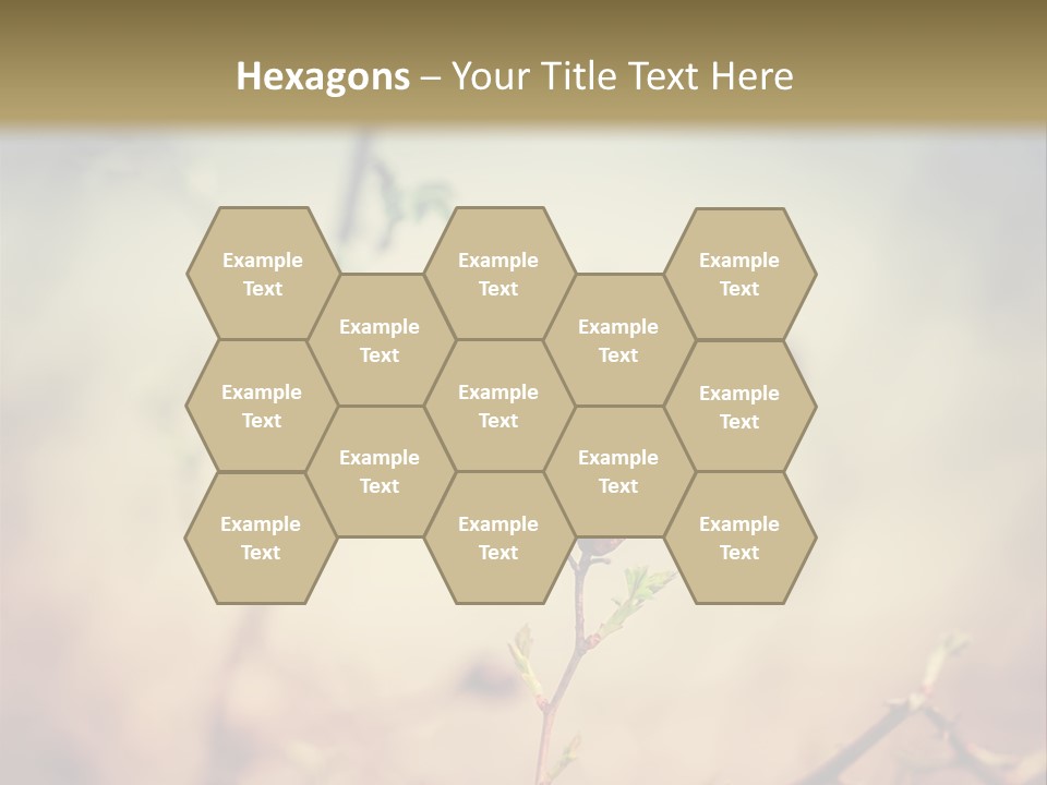 Background Ripe Rosehip PowerPoint Template