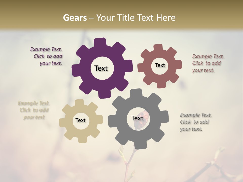 Background Ripe Rosehip PowerPoint Template