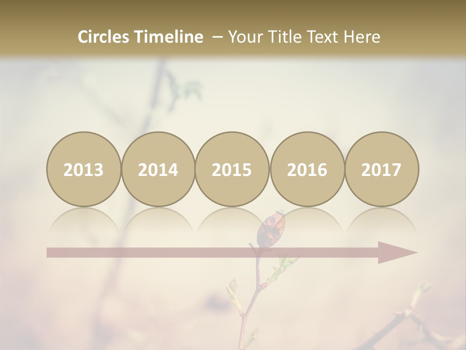 Background Ripe Rosehip PowerPoint Template