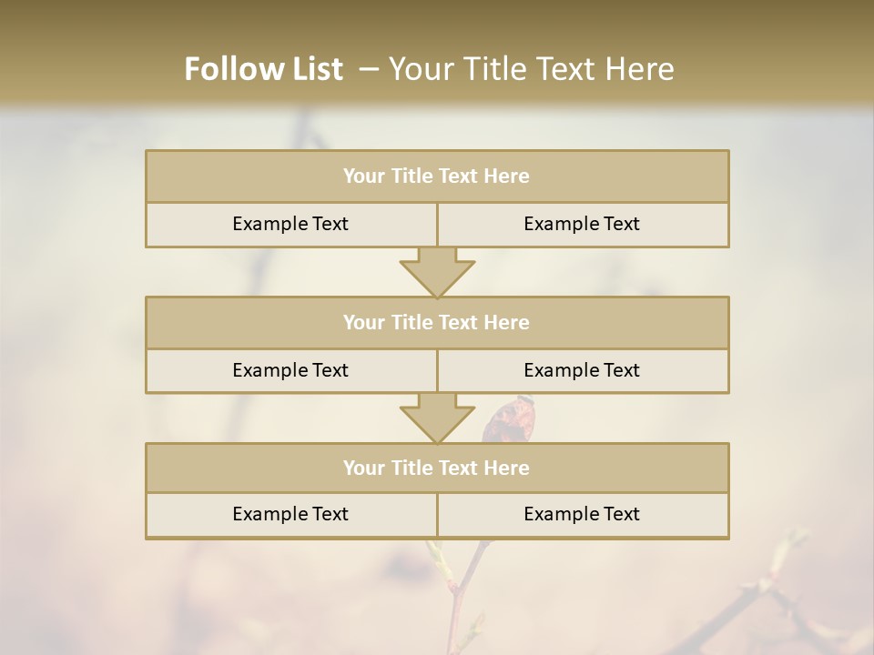 Background Ripe Rosehip PowerPoint Template