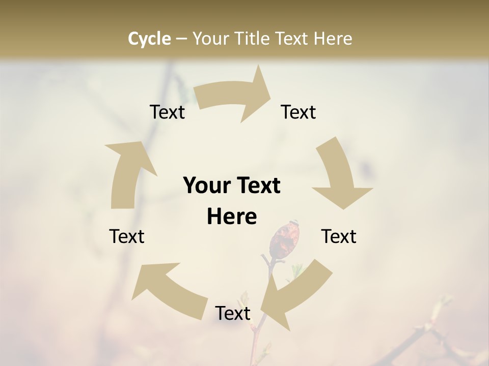 Background Ripe Rosehip PowerPoint Template