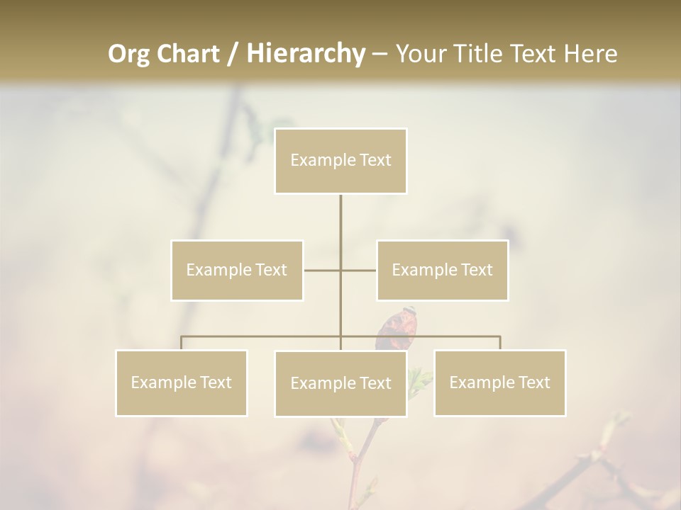 Background Ripe Rosehip PowerPoint Template