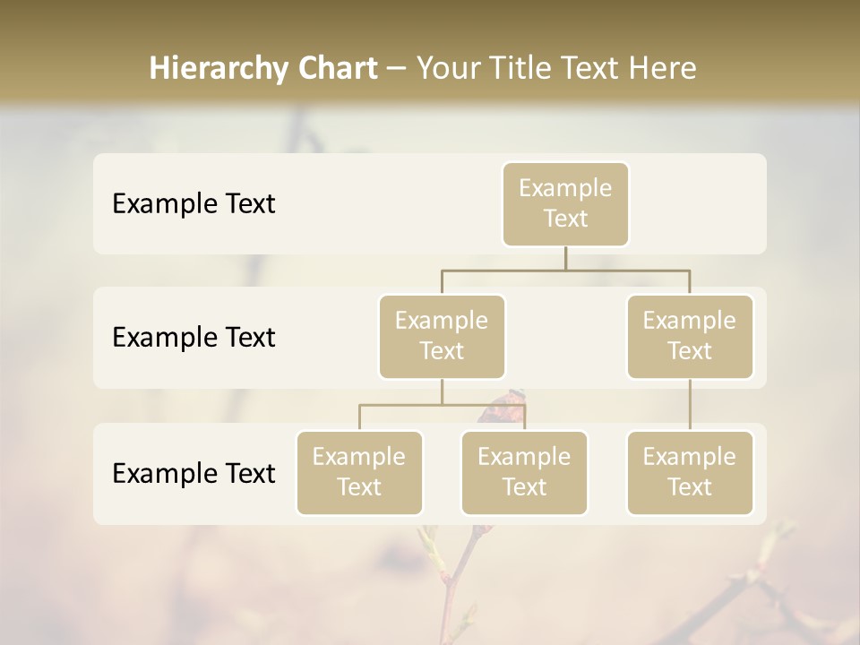 Background Ripe Rosehip PowerPoint Template