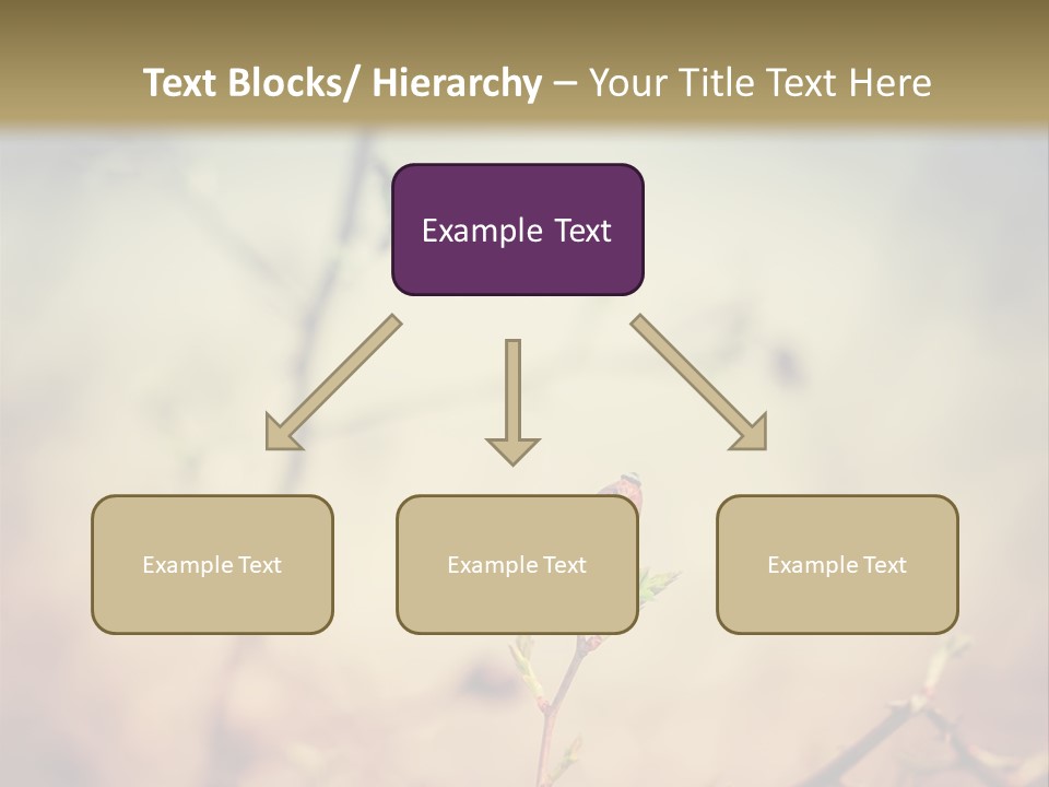 Background Ripe Rosehip PowerPoint Template