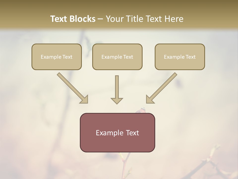 Background Ripe Rosehip PowerPoint Template