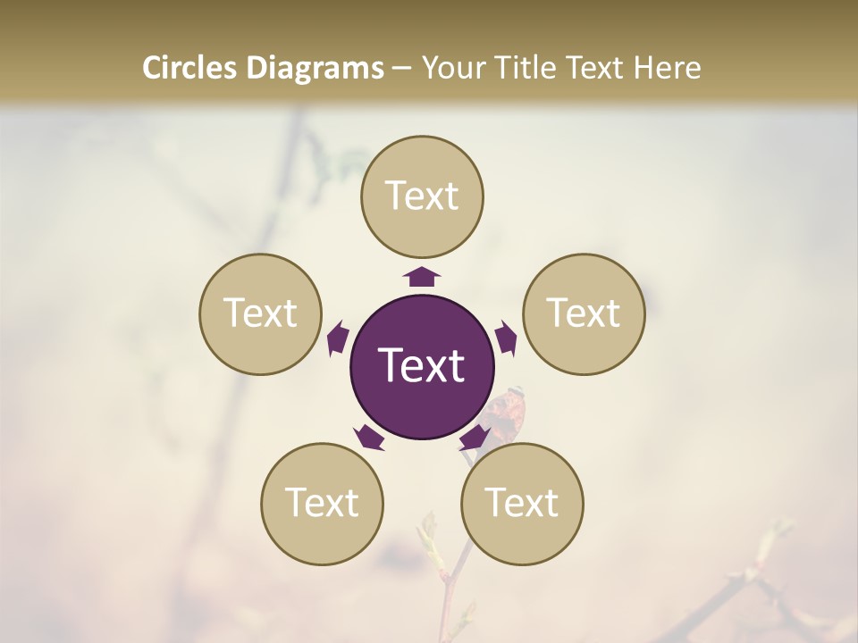 Background Ripe Rosehip PowerPoint Template