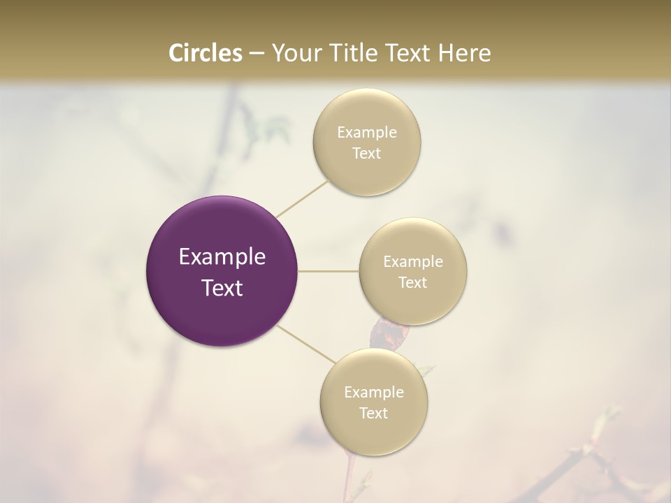 Background Ripe Rosehip PowerPoint Template