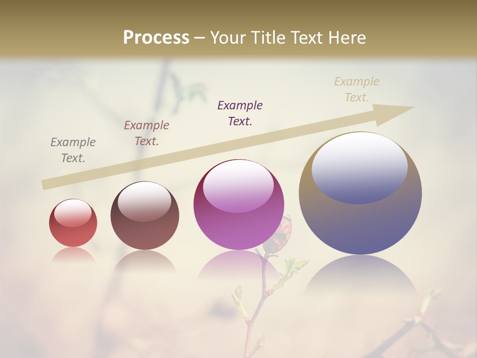 Background Ripe Rosehip PowerPoint Template