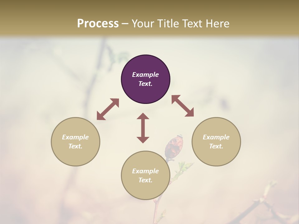 Background Ripe Rosehip PowerPoint Template
