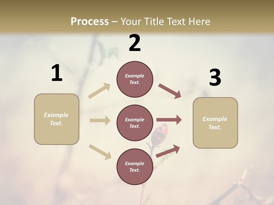Background Ripe Rosehip PowerPoint Template