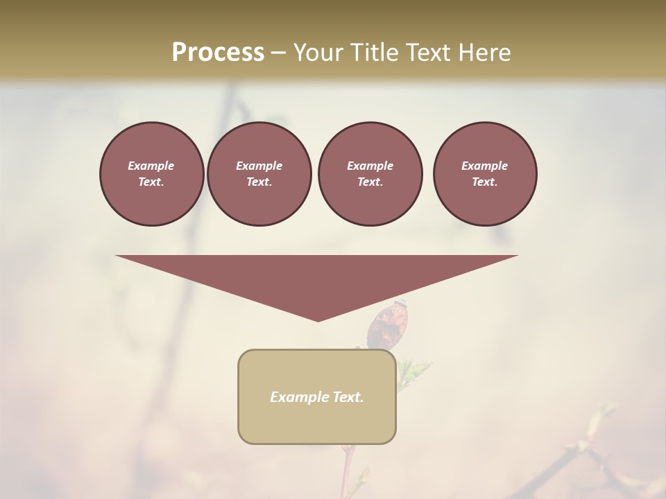 Background Ripe Rosehip PowerPoint Template