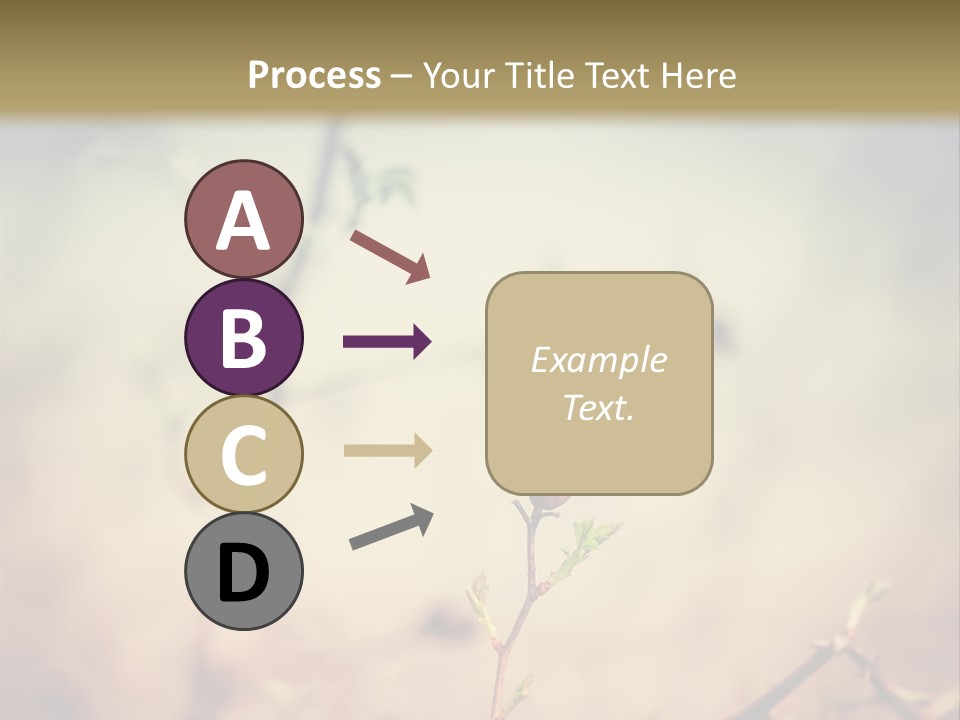 Background Ripe Rosehip PowerPoint Template