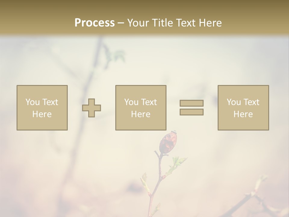 Background Ripe Rosehip PowerPoint Template