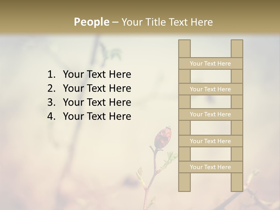 Background Ripe Rosehip PowerPoint Template