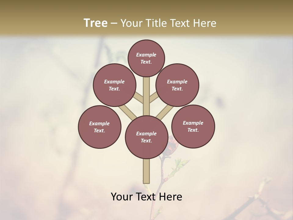 Background Ripe Rosehip PowerPoint Template