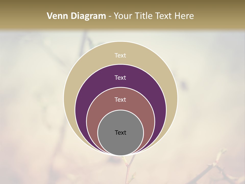 Background Ripe Rosehip PowerPoint Template