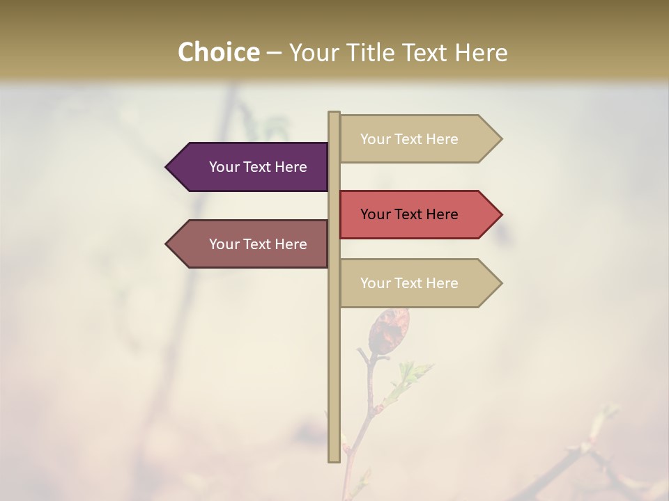 Background Ripe Rosehip PowerPoint Template