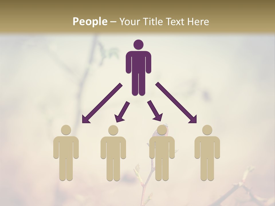 Background Ripe Rosehip PowerPoint Template