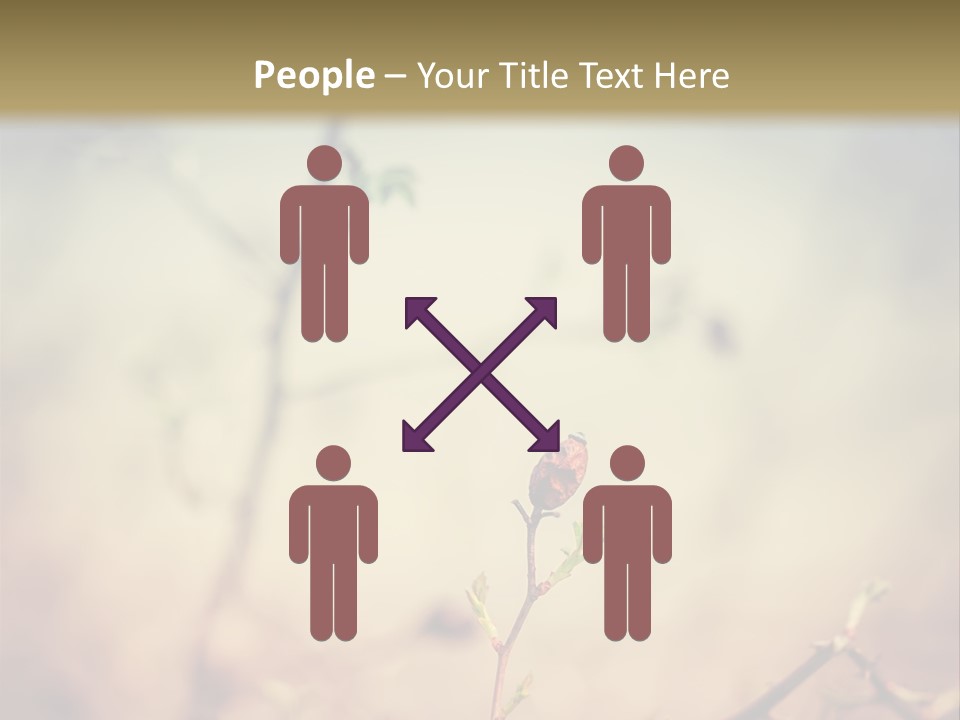 Background Ripe Rosehip PowerPoint Template