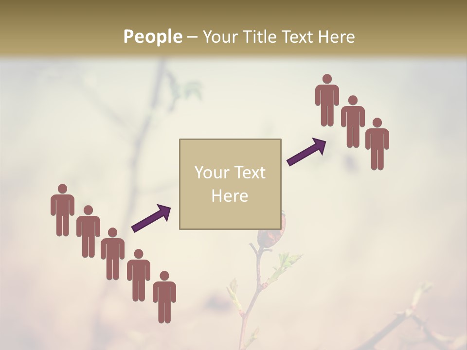 Background Ripe Rosehip PowerPoint Template