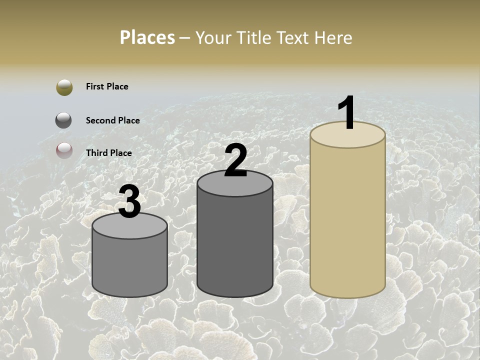 Raja Ampat Environment Habitat PowerPoint Template
