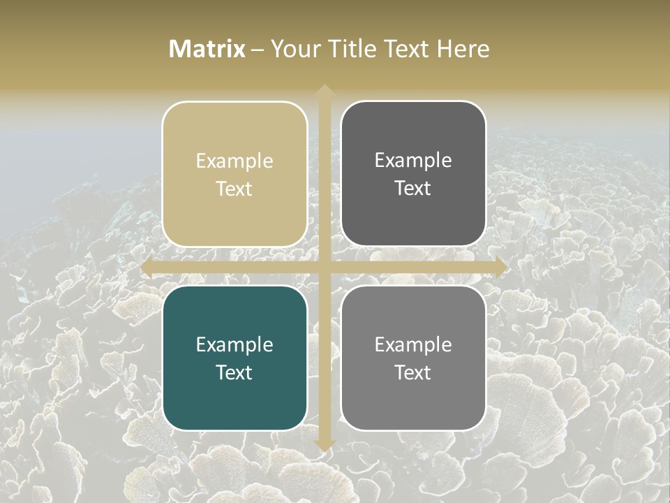 Raja Ampat Environment Habitat PowerPoint Template
